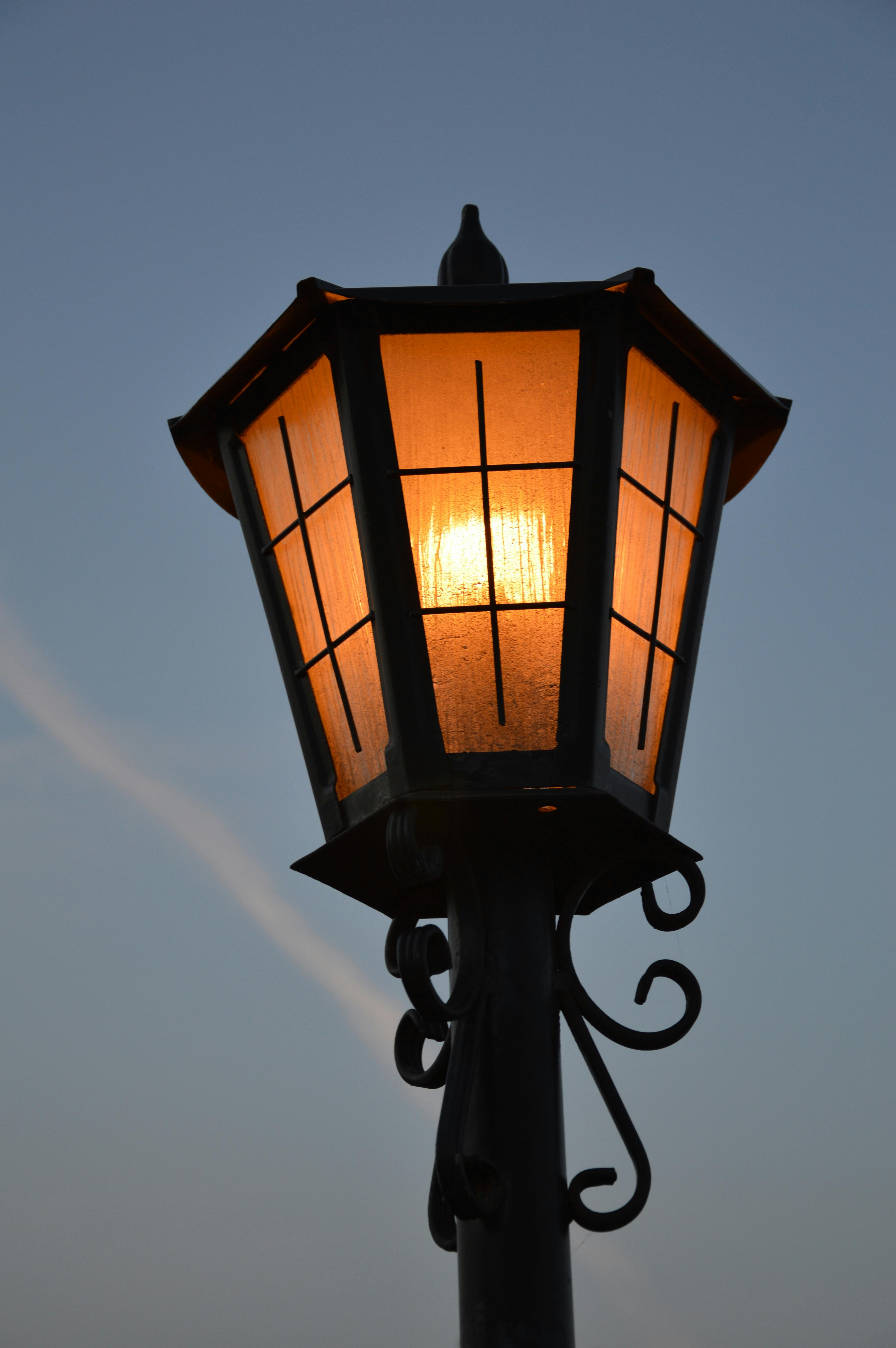 Wysokie stojące lampy ogrodowe — co trzeba wiedzieć?